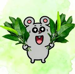 ♂️立小青/🍏☘️