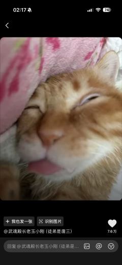 头像
