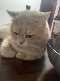 星星人的小星星