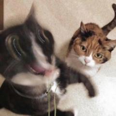 mudaaaaaa