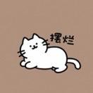 陈卓