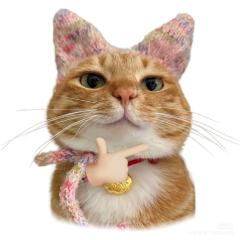 猫狗齐全的贝塔