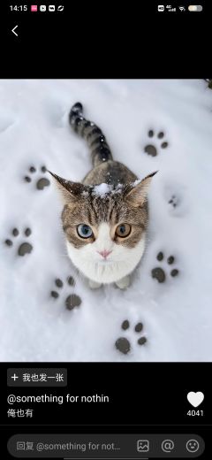 头像
