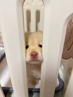 与吕子乔齐名的励志师