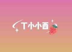丁小小西
