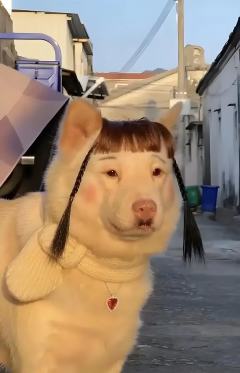 要你管、