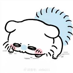 科阳磕养