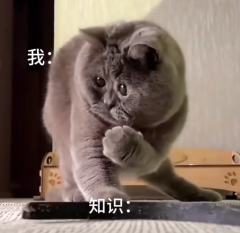 ʚ琦小琪ɞ