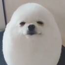 用户_AZNO