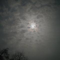 一帘幽梦。