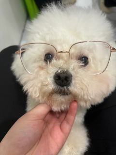 不给我中就卸载