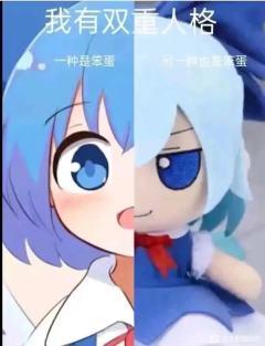 nikonikoni