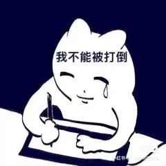 单子很多别催了