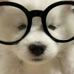 吖吖吖