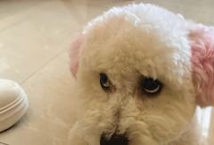 %大辣片～那咋了？！