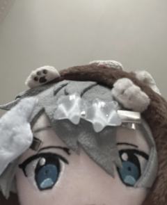 生鱼片其实是死鱼片