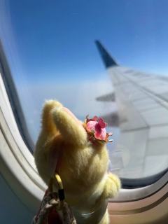 收集小破烂儿的一颗糖