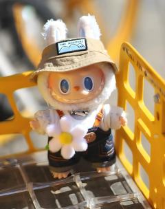 财神爷心尖上的宝贝