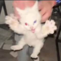 拍下默认看过主页