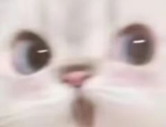 救了个大命（不接稿版