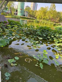 卡游小店（求买）