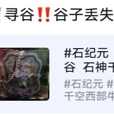 谷子丢失
