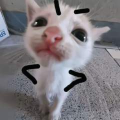 冰块云