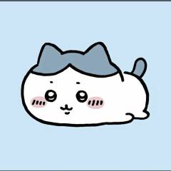 ^困困魚^🌺
