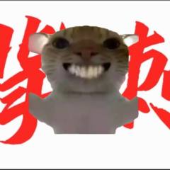 小柒