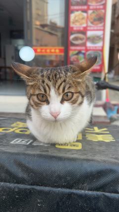 黄经理