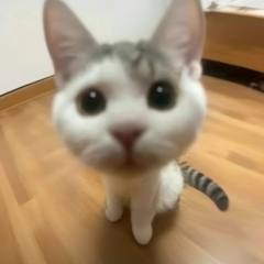 小小的老子