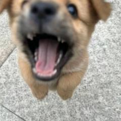 随性之人