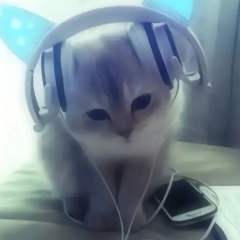 不喜欢也别反我求你了