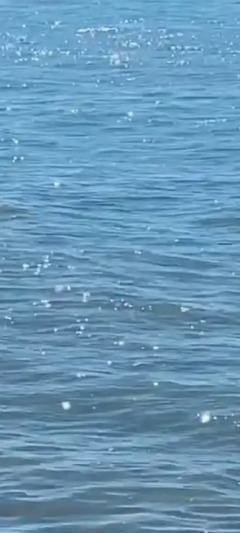 梦终究还是一场梦