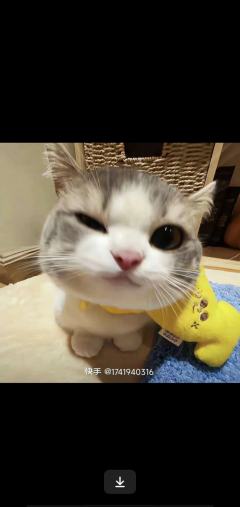 古董商(小海螺)🌹💋