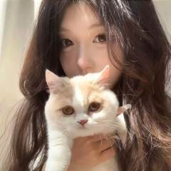 代刷宠物理解度