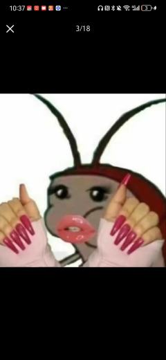 cn:80岁在逃大母