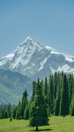 我的钱钱去哪了