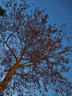 诚信第一，祝你发大财