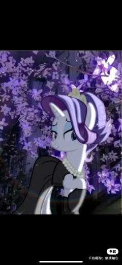 珍奇大王（互关）