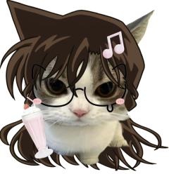 ♡^独耳小猫^♡