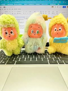 禾优胖头鱼（潮玩）