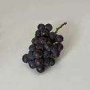 重生之我是捡屎官