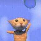 别动我的小蛋高