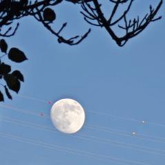 被回合制打自闭的大学