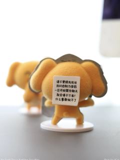 什么都感兴趣！