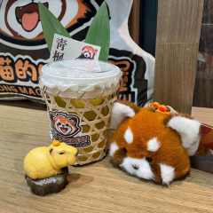 智子