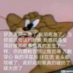 鼠鼠