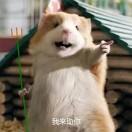 南柯