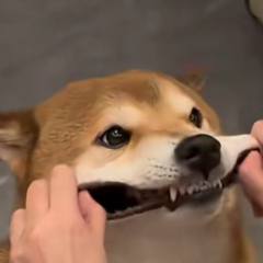 。